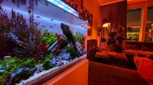 PH lighted aquarium