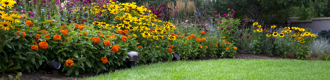 THE PLACE TO BE IN 2023: THE SPRING HOME + GARDEN SHOW